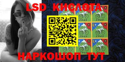 гидропоника Сланцы