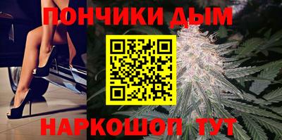 гидропоника Сланцы