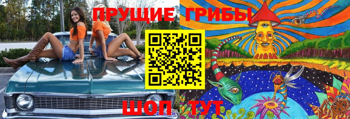 Псилоцибиновые грибы прущие грибы  Вход с VPN  Галлюциногенные грибы MAGIC MUSHROOMS  Тельмана 